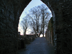 Schlossruine Torbogen aufwärts